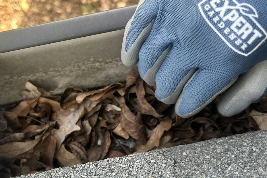 Gutter Cleaning Lansdowne