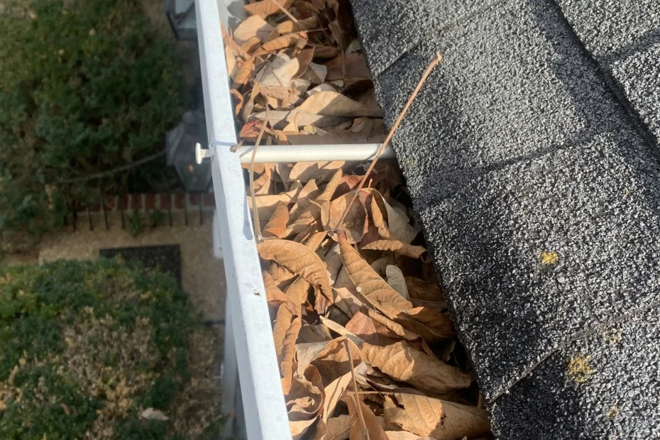 Gutter Cleaning Lansdowne