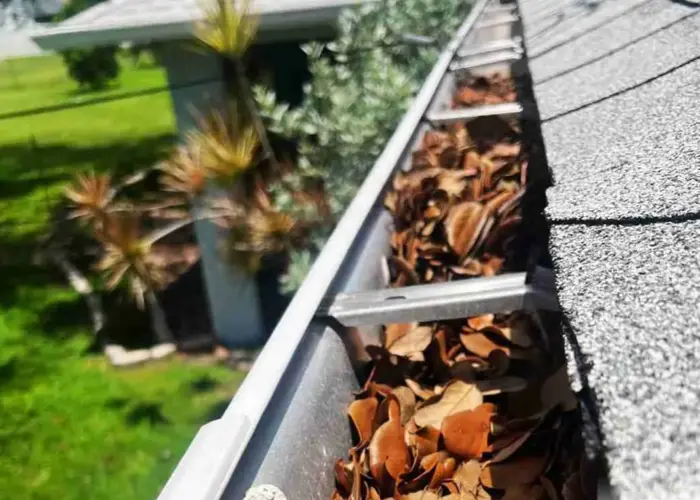 Gutter Cleaning Lansdowne home page